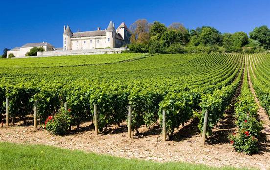Burgundy Scenery
