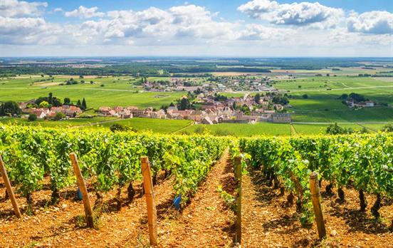Classic Burgundy scenery