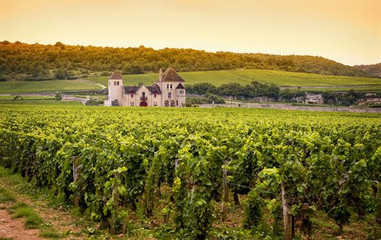 Chateau in Burgundy