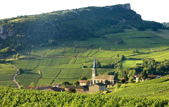 Weinparadies Burgund