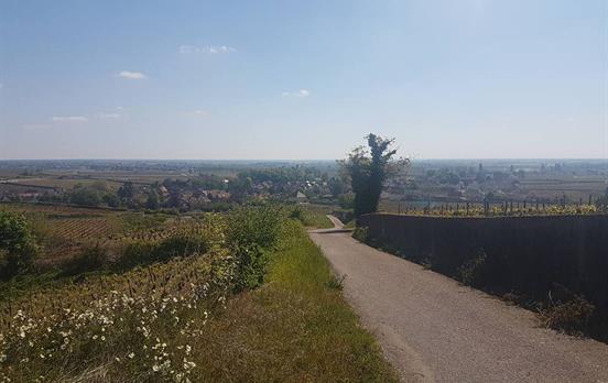 Kleine Weindörfer auf dem Weg
