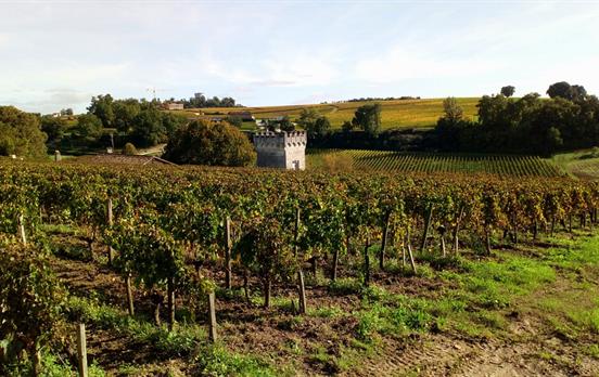 Weinberge und historische Schlösser