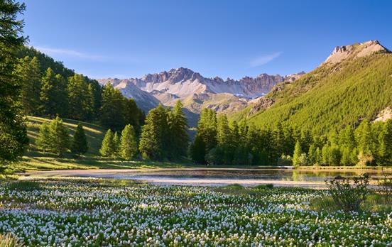 Views Around Arvieux