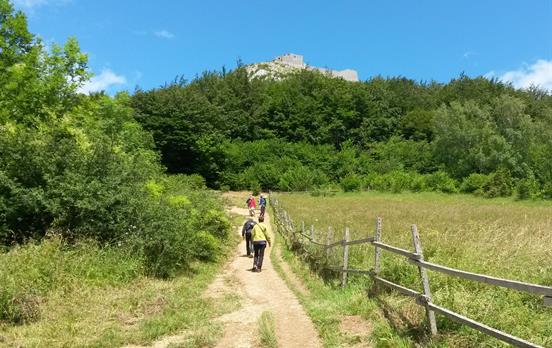 Walking up to Montsegur