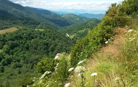 View from Montsegur Castle