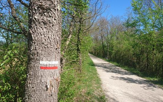 Follow the red and white stripes