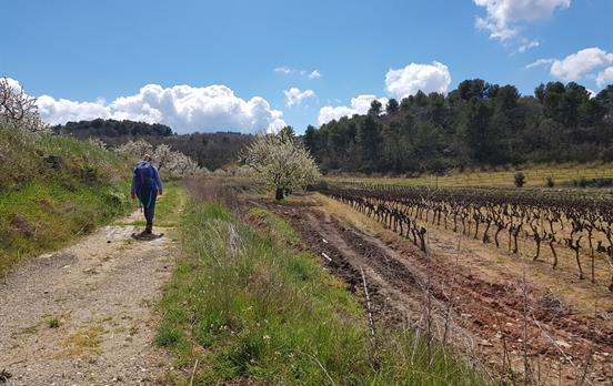 Walk past vineyards and orchards