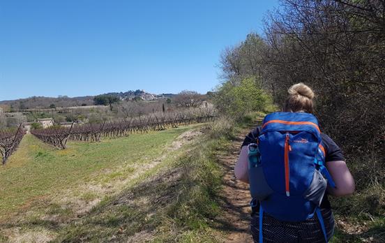 Walk past vineyards and orchards
