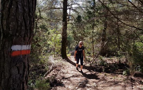 On a forest trail