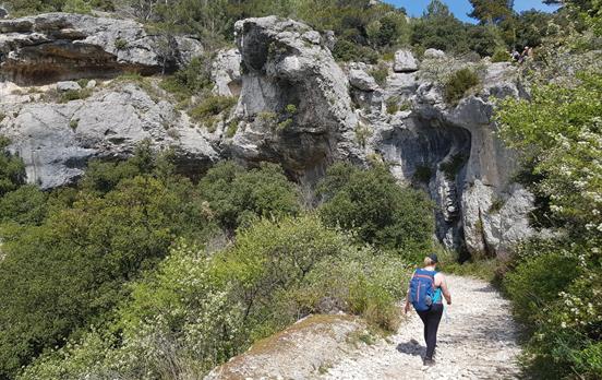 Walking in Provence
