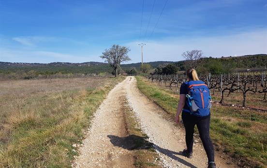 Enjouy peaceful walking