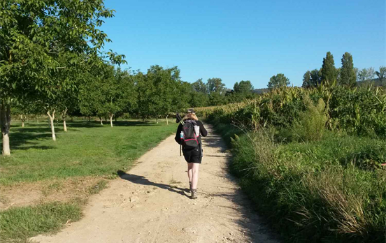 Walking in the Dordogne