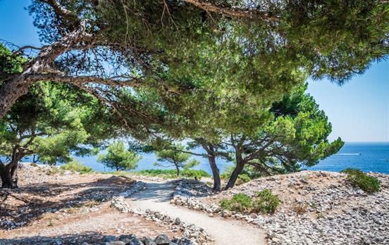 Enjoy sea and mountain views from the peaceful pat