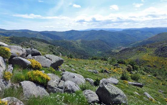 Mont Lozere