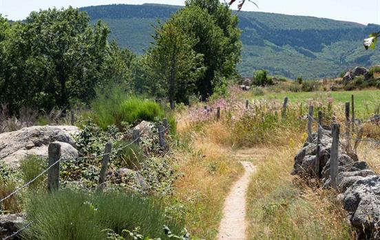 A typical walking trail