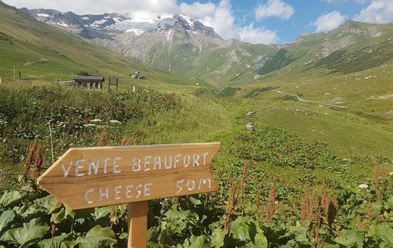 Sample some local and fresh dairy products