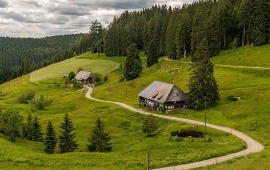 Typical Black Forest scenery