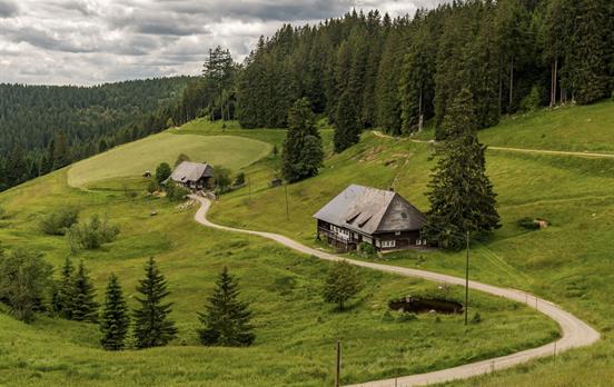 Individuelle Wanderreise im Schwarzwald