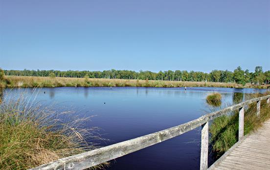 Pietzmoor