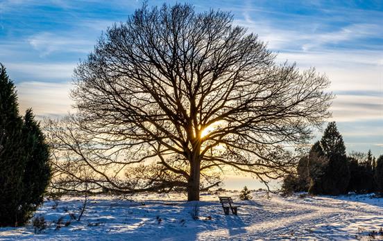 Winter-Idylle