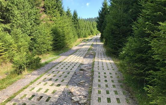 Grünes Band am Brocken