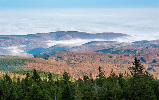 View from the Brocken Mountain
