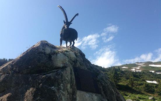 Keep your eyes peeled for ibex