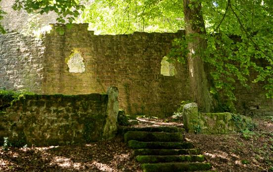 Burgruine Stolzeneck