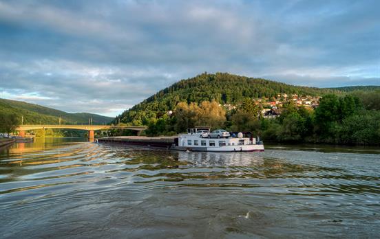 Der Neckar bei Eberbach