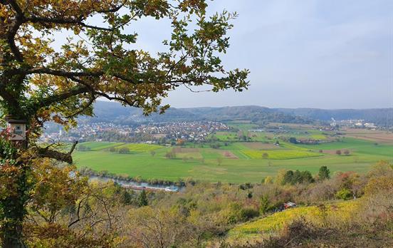 Entlang des Neckar
