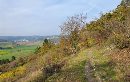 Weg Richtung Neckargerach
