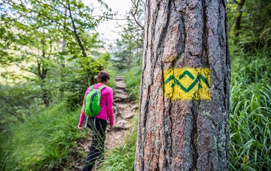 Waymarking on the Salzalpensteig
