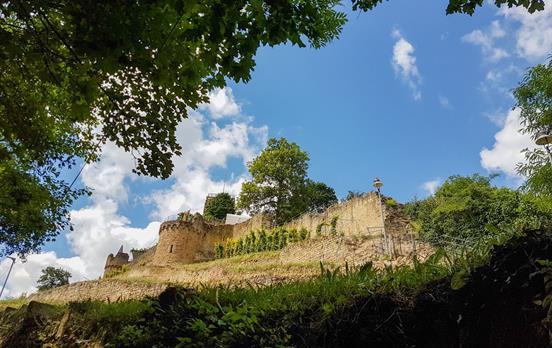 Burgruine Wachtenburg