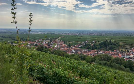 Weinberge und Weindörfer