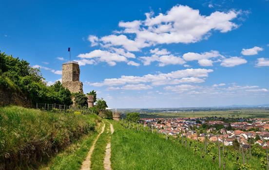 Wachtenburg Wachenheim