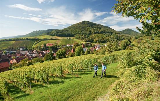 Wandern auf dem Pfälzer Weinsteig