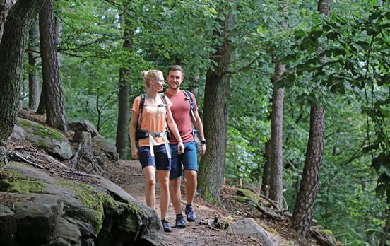 Wandern im Pfälzer Wald