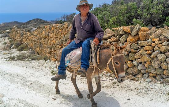 Man on a donkey