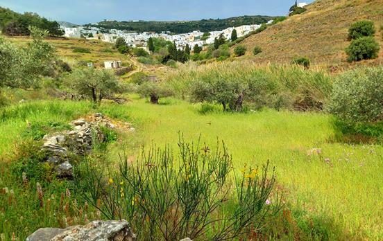 View to Lefkes on the Byzantine Trail