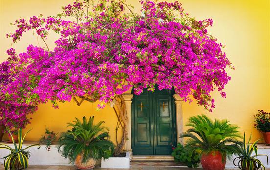 Typical Greek House