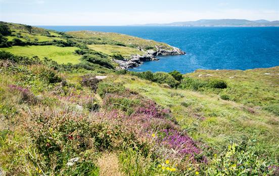 Bantry Bay