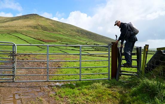 a turn style while walking the Dingle Way