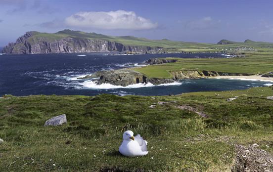 Clougher Bay