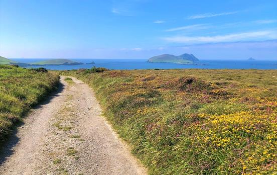 Dunquin to Ballydavid