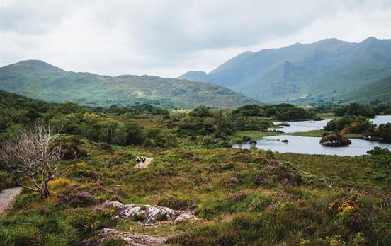 Wild scenery on the Kerry Way