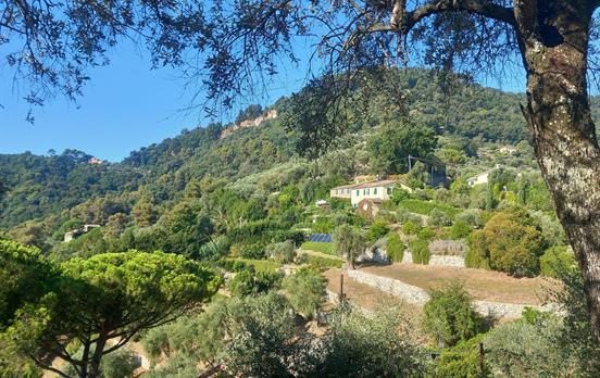 Beautiful lush landscapes