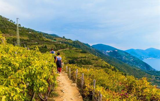 Walking among the Cinque Terre terraces