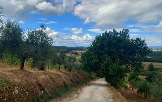 Views from the Loop Walk Around San Gimignano