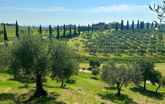 Hike with views of olive groves & vineyards