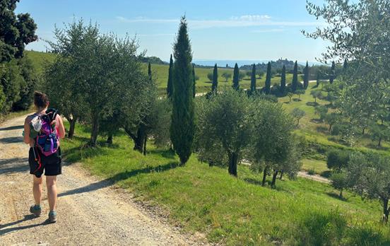 Leisurely walks with amazing views